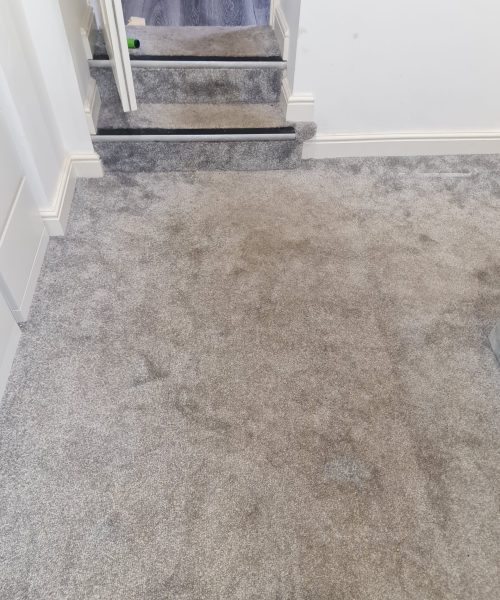 before carpet cleaning - Skyline Cleaning before carpet cleaning - Skyline Cleaning